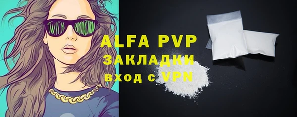 прущие крисы Ельня