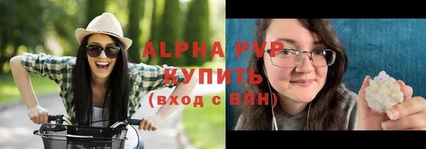 spice Елизово