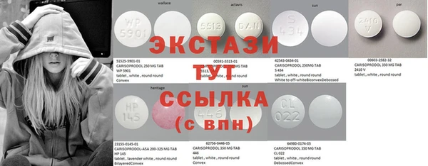 прущие крисы Ельня