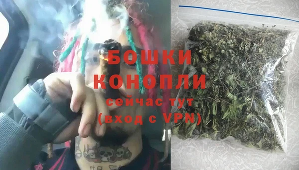 прущие крисы Ельня
