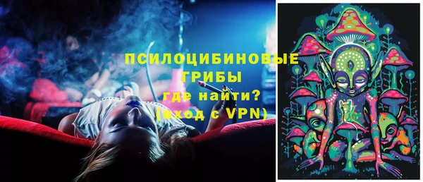 прущие крисы Ельня
