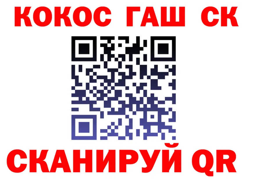 ГАШ убойный маркетплейс это mega Волгореченск